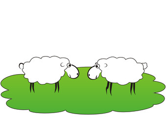Sheep couple
