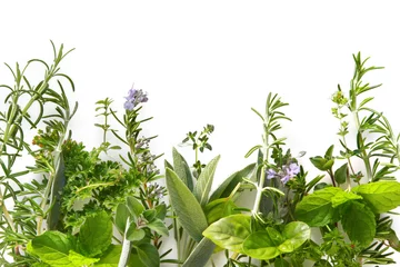 Gardinen Border of fresh herbs © robynmac