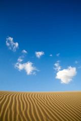 Fototapeta na wymiar Maspalomas sand dunes in Gran Canaria, Spain
