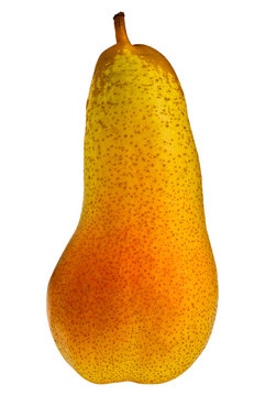 Abate Pear