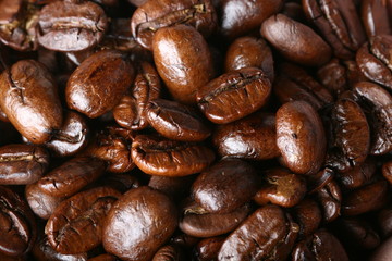 aroma bean