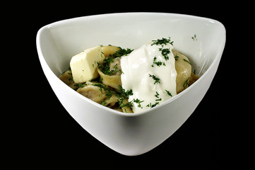 Pel'menis on a black background