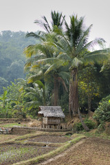 Thailand - village