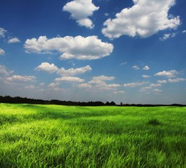 Green field and white clouds