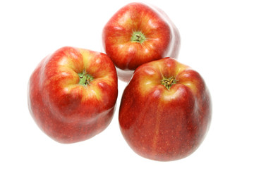 Underside of red apples on white background