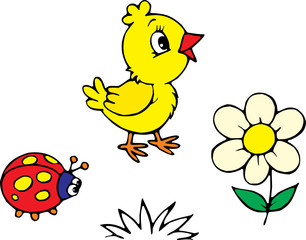 Chick and ladybug 