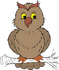 Owl