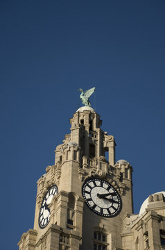 One of the famous Liverbirds in Liverpool Capital of culture
