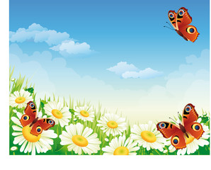 butterfly and flowers