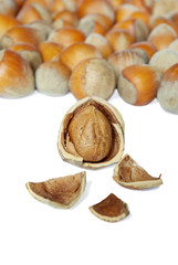 hazelnuts 