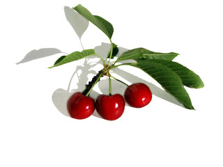  cherries 