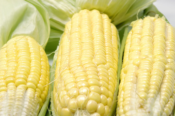 Sweet corns