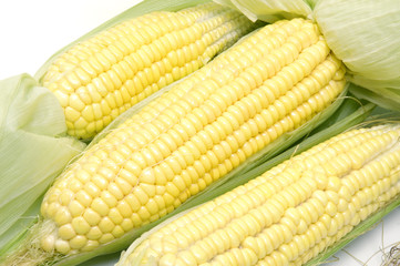 Sweet corns