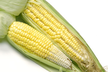 Fresh sweet corns