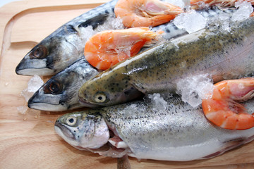 frischer Fisch