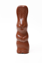 Fototapeta na wymiar Chocolate Easter Bunny
