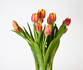 Tulpenstrauss