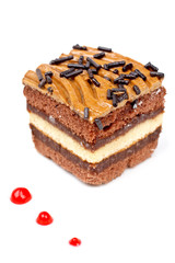 Chocolate cake with soft shadow on white dish. Shallow DOF