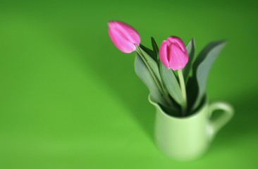 Fototapeta premium Pink tulips with a green background and selective focus