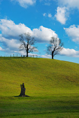 Fototapeta premium Peaceful Day