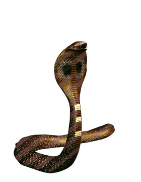 Tanzende Kobra Schlange (freigestellt)