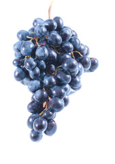 Grapes. Isolation on white