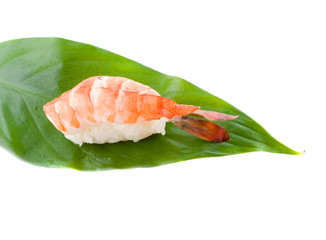 sushi. Isolation on a white background.