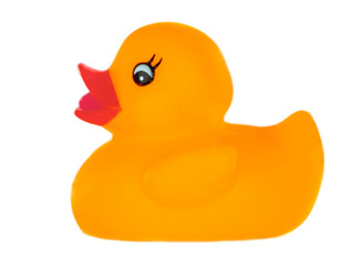 Orange plastic duck a over white background