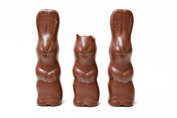 Ostern, Osterhase, Schokohase