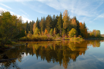 Landscape. A wood-reflection in lake