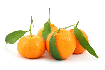 Mandarin isolated on white background