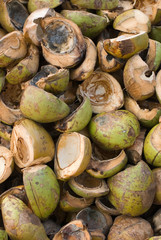 halves of coconuts