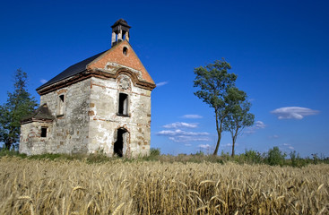 Fototapeta na wymiar Ruin of a chapel in the middle of a wheat-field