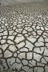 Ile de Ré : Marais salant de Lilleau des Niges : boue séchée