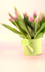 Watering can full of pink tulips with special focus and tint
