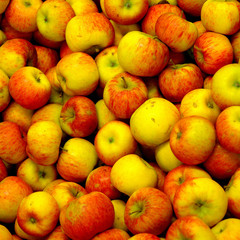 Äpfel Sorte Topaz