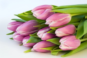 Tulip bouquet on white background
