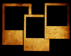 Polaroid collection.