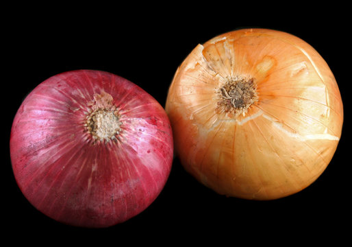 A Red And A White Uncut Onion Freshly Picked.