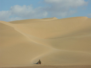 Fototapeta na wymiar un homme et son chien dans le désert