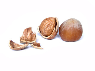  hazelnuts
