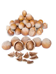Much hazelnuts isolated on white