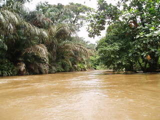 rio tropical costa rica
