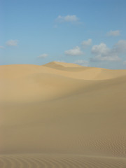 Fototapeta na wymiar dunes du sahara