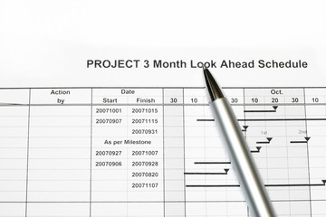 Enginering Project Look Ahead Schedule