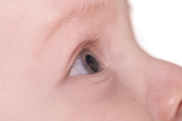 Obraz premium child steadfastly looking upwards