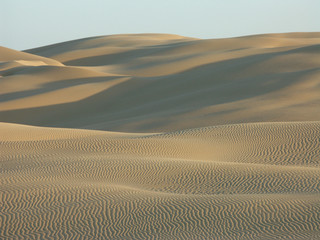 Fototapeta premium paysage de dunes