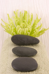 Massage Stones, Green Aster, and Green Towel