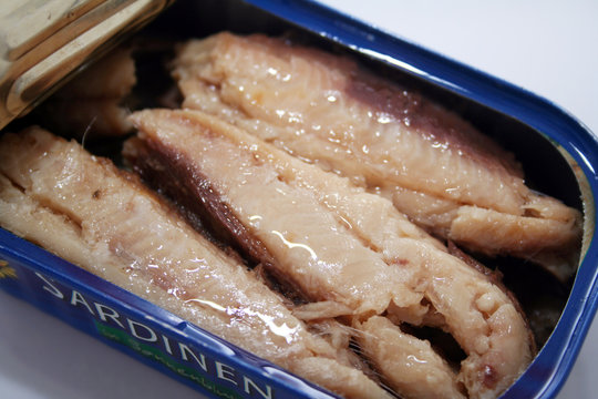 Sardinen