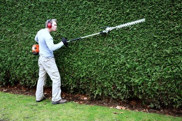 hedge rimming